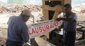 Profepa asegura madera en Puebla