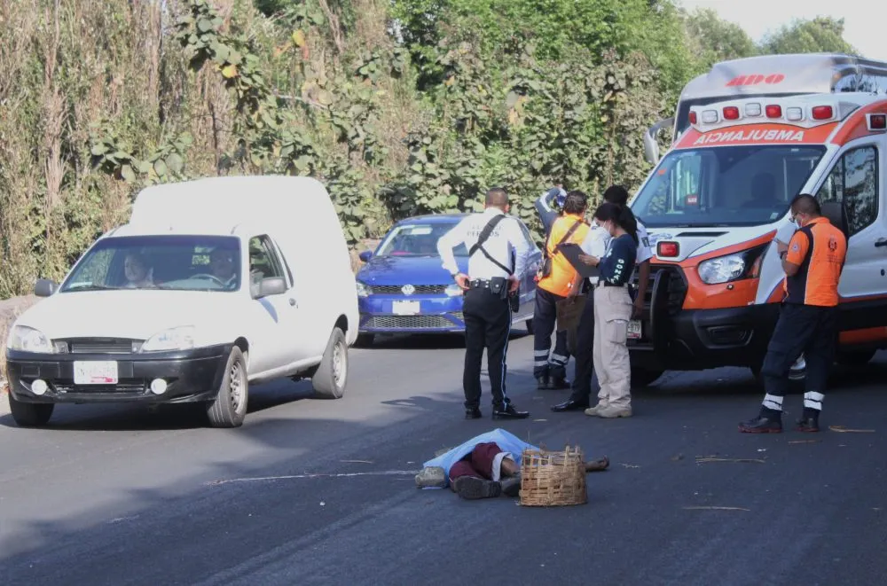 Muere hombre arrollado sobre la lateral de la autopista frente a galletera