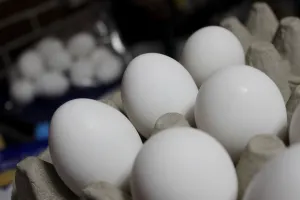Aporta Puebla 161,292 toneladas de huevo el primer cuatrimestre del año