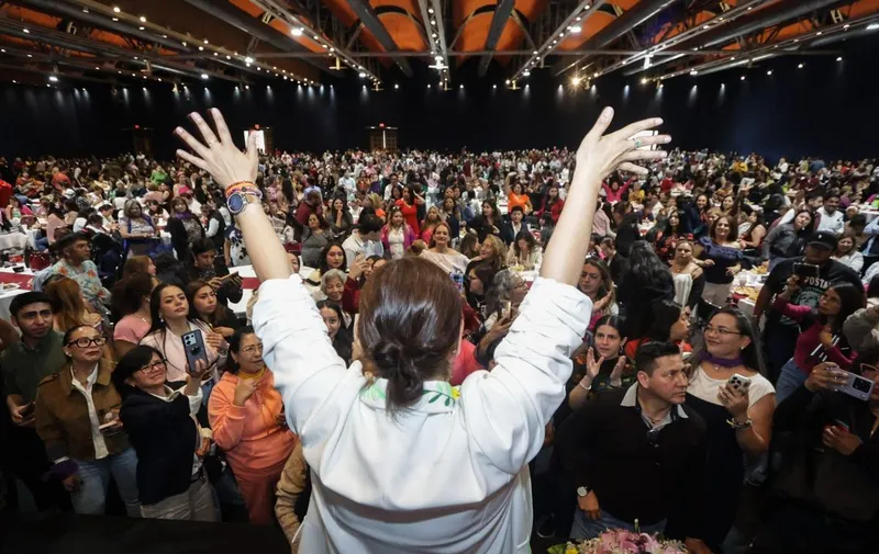 celina-pena-guzman-foro-morena