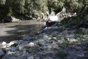Multa Conagua en 2015 a 30 empresas por contaminar el Atoyac