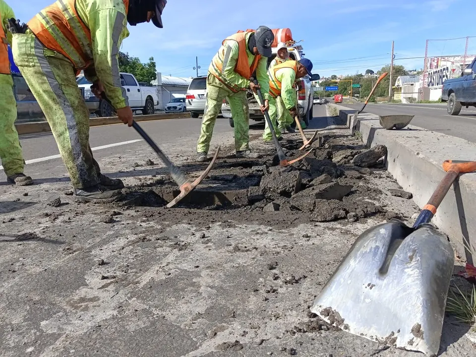 Bacheo
