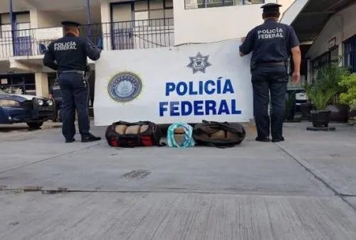 Policía Federal asegura 30 kilos de marihuana
