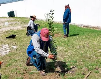 Con la entrega de 5 mil árboles, Agua de Puebla realiza su programa de reforestación “Adopta Vida”