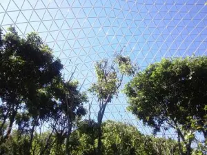 Asegura Profepa ejemplares al Aviario del Parque Ecológico