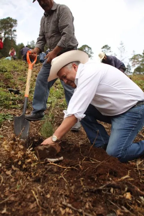 Participa SEDESOL Puebla, CONAFOR y SEMARNAT en Jornada de Reforestación Social