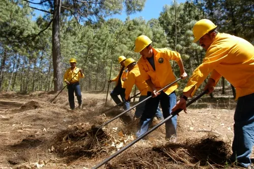 Autoridades reconocen el trabajo de combatientes de incendios forestales