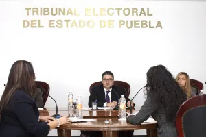 TEE fija plazo de 10 días para acreditar al PES