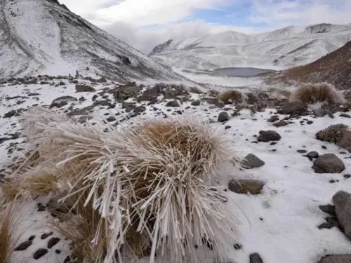 Habrá nieve y aguanieve en gran parte del país
