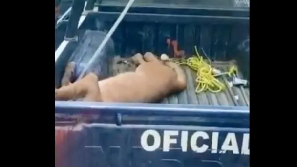 Foto : El Heraldo de México