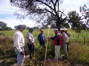 Restaura y reforesta SDRSOT suelos degradados en 11 municipios
