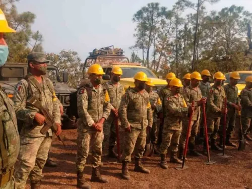 Durango concentra el mayor número de incendios forestales en el país