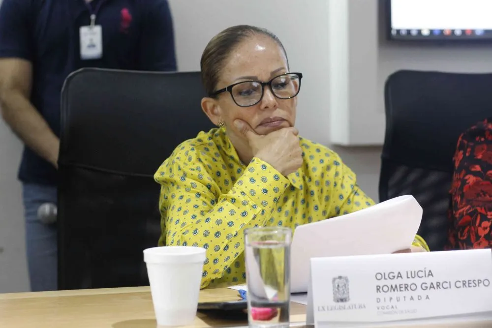 La presidenta de la Comisión de Salud, Cristina Tello, pidió que la secretaria de salud, Lucía Ojeda se presente en esta comisión para dar explicación de su trabajo.