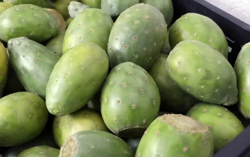 La Secretaría de Desarrollo Rural fomenta exportación de frutas y verduras