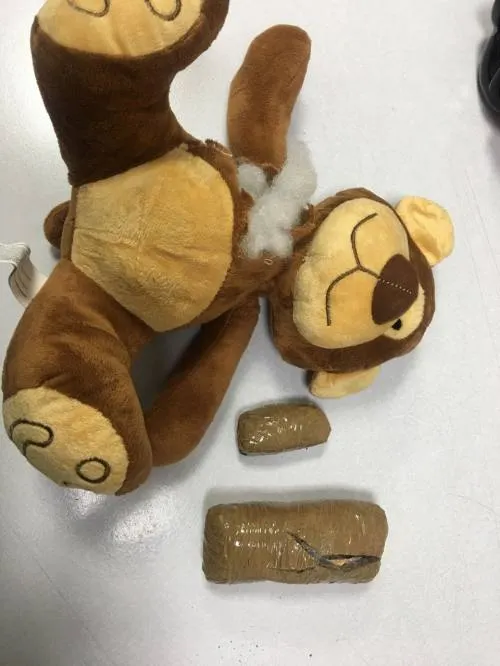 Abandonan un oso de peluche repleto de marihuana en el Aeropuerto Hermanos Serdán