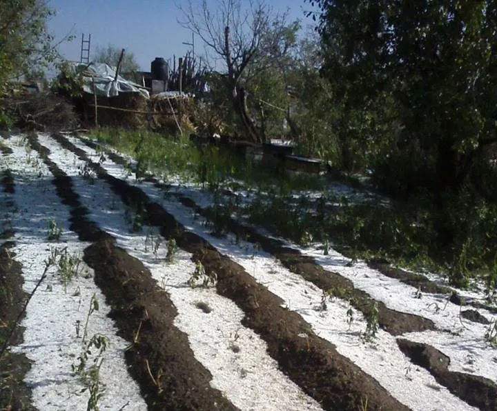 Granizada terreno