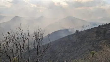 Incendio forestal en Libres: control del 100% y 90% de liquidación