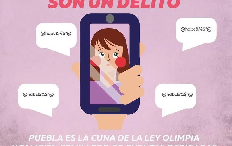 Imagen del artículo