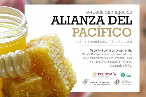Participan 5 empresas poblanas en e-rueda de Negocios Intraalianza