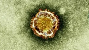 Científicos alertan por extraño virus altamente letal