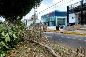Funcionarios que otorgaron permiso para talar árboles en bulevar Hermanos Serdán fueron suspendidos: Eduardo Rivera