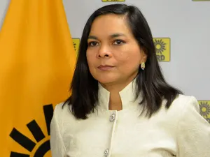 Mojica asume de manera temporal presidencia del PRD