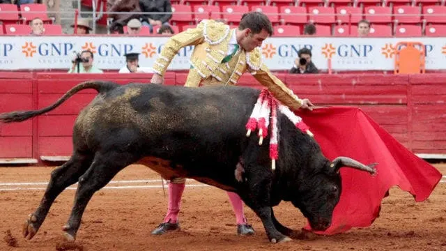 Regresa - la - plaza - de - toros