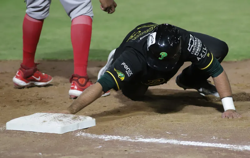 Pericos de Puebla