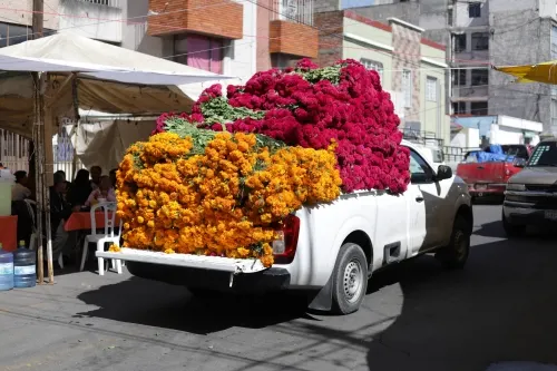 Puebla, dentro de primeros lugares a nivel nacional en producción de flor de muerto