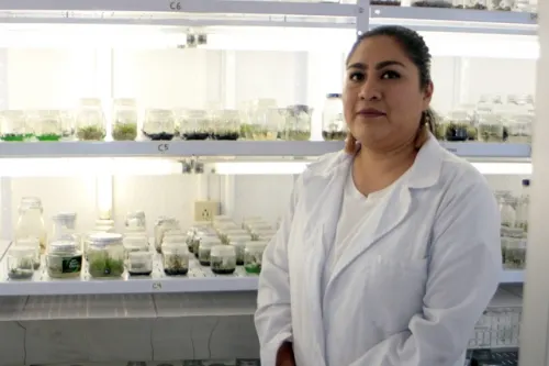 Jardín Botánico de la BUAP salva árboles en peligro de extinción