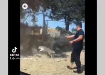 Hermanos Zarate Páez, del PVEM, se graban asesinando a un perro a balazos en Tlaxcala; el partido se deslindó de ellos