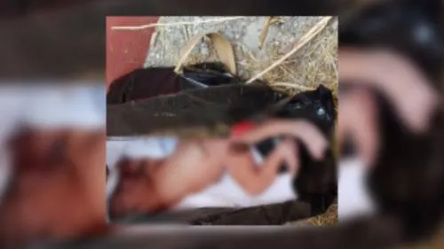 Abandonan a un bebé en San Andrés Cholula