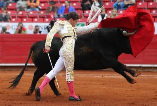 Corridas de toros podrían desaparecer en la ciudad de Puebla
