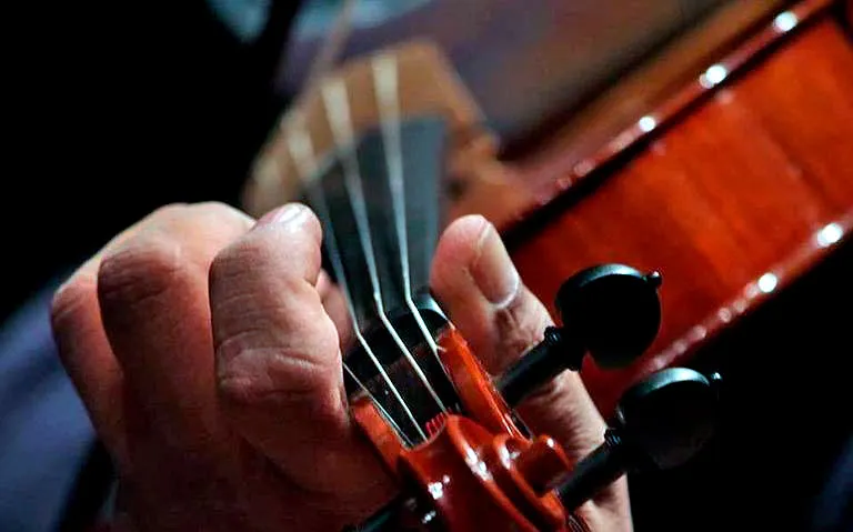 Violin Huapango Musica