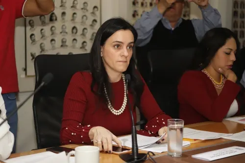 PAN demanda cese de hostigamiento y persecución política