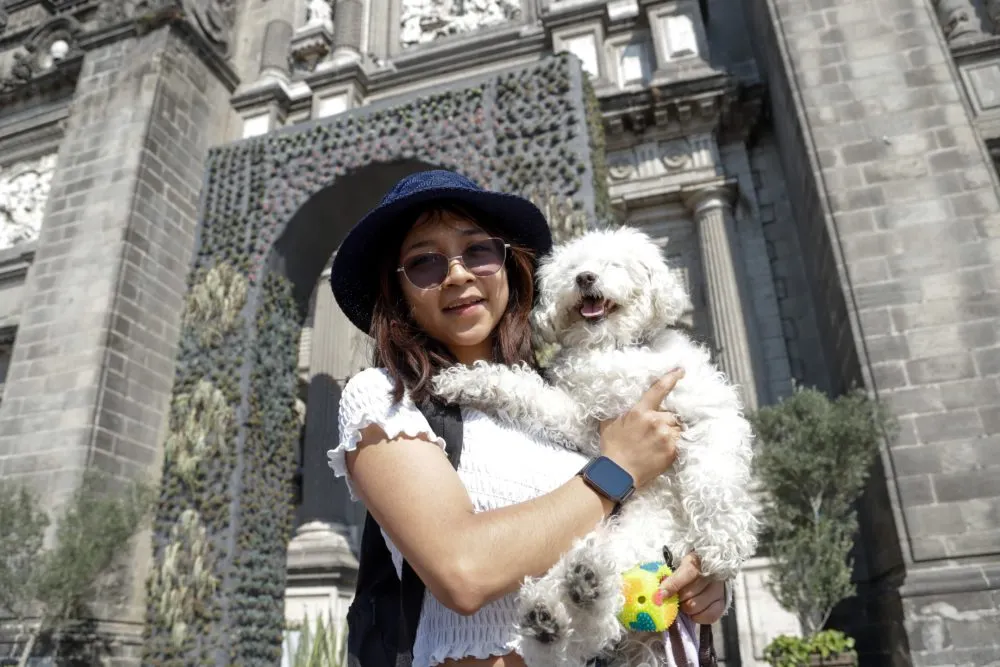 Foto: Obturador.mx
