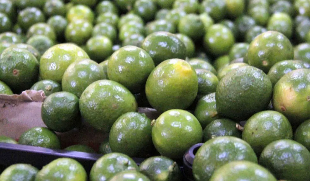 Rebasa limón los 100 pesos en Coahuila