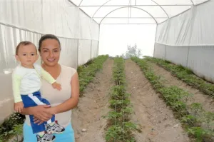 Modelos sustentables de investigadores de la BUAP, para combate a la probreza