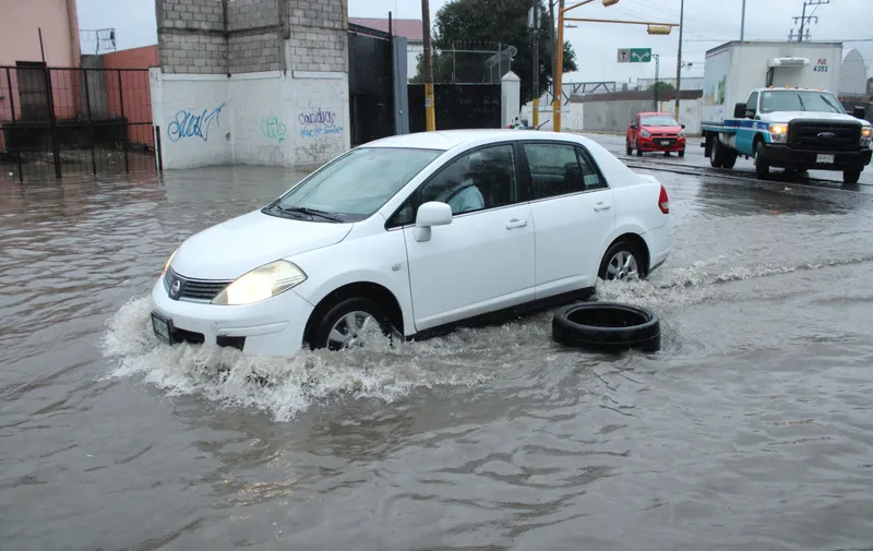 Imagen del artículo