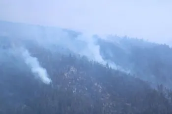 Controlan incendio forestal en Libres; van 190 siniestros en Puebla en lo que va del año