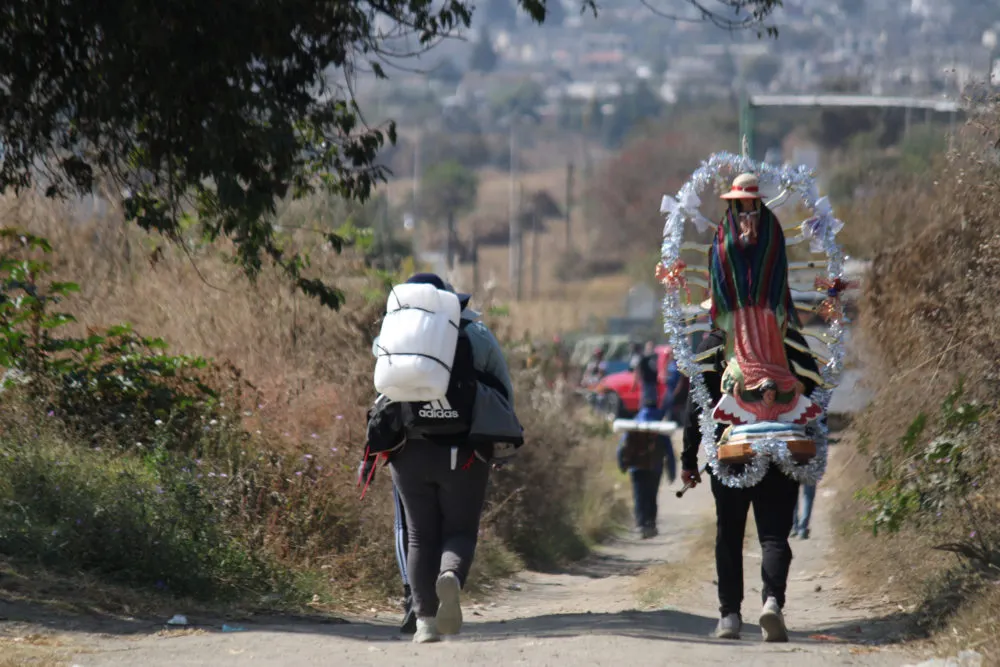 Peregrinos Guadalupanos