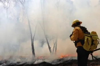 Puebla registra 222 incendios urbanos y 39 incendios forestales en lo que va del 2025
