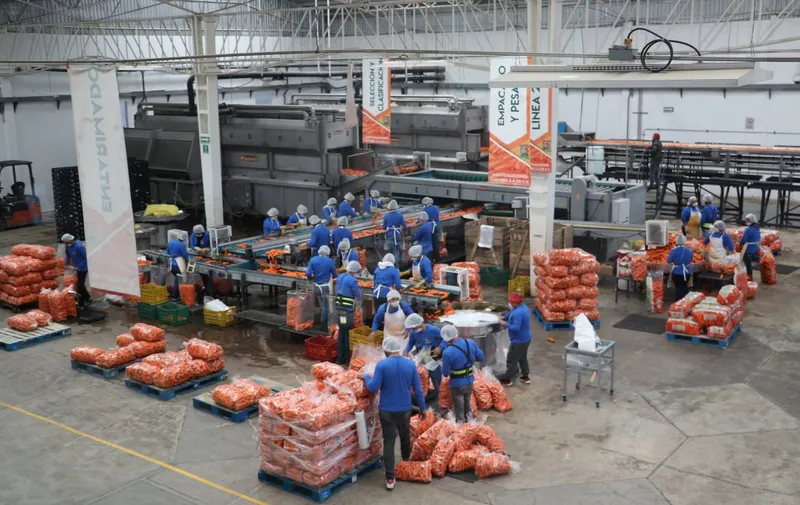 Crece industria manufacturera en Puebla 12% en producción y ventas
