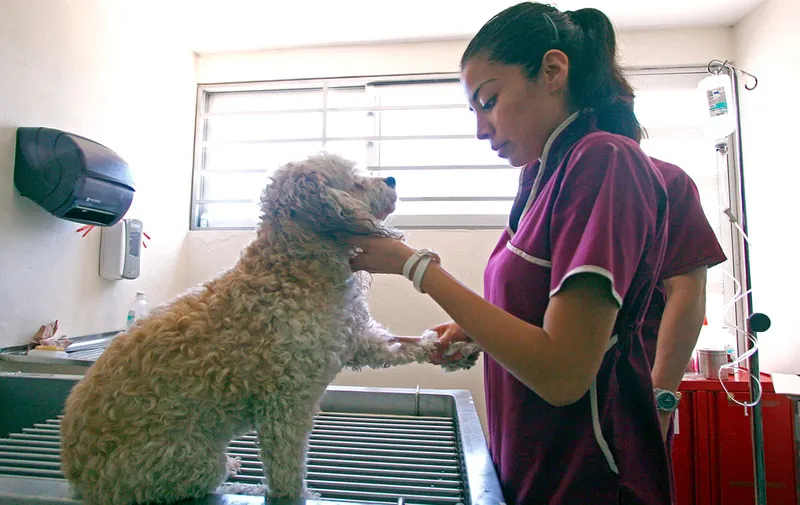 buap-medicina-veterinaria-y-zootecnia-50-aniversario