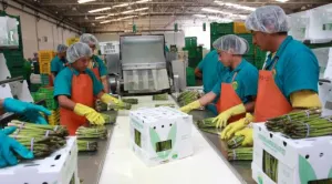Gobierno de Puebla impulsa empresas agroindustriales con potencial exportador