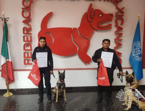 "Tory" y "César" fueron reconocidos como “Mejor Perro del Año en Trabajo y Servicio 2022”