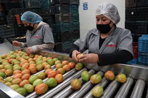 Puebla tiene volumen y calidad para atender mercado extranjero: Altamirano