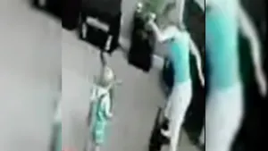 VIDEO: Gato defiende a bebé al pensar que lo atacaba su niñera