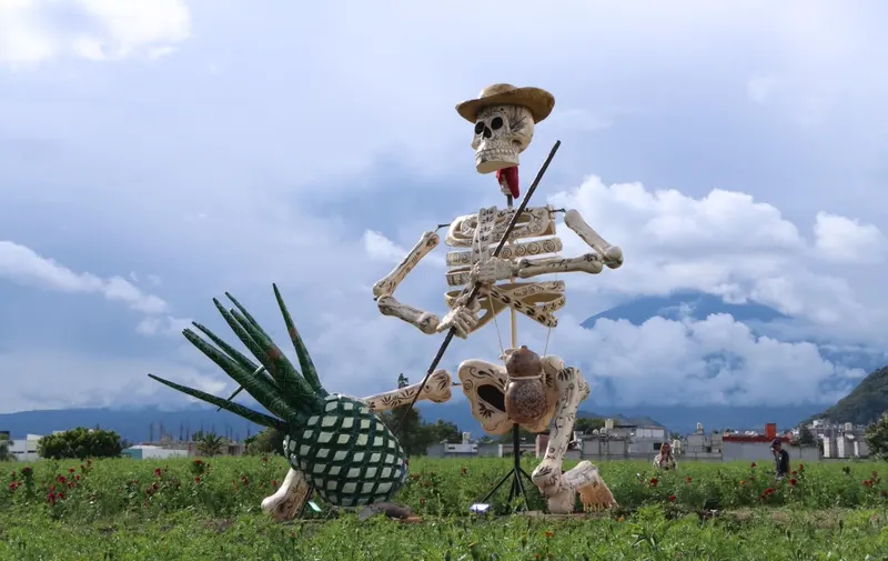 Atlixco se prepara para recibir a miles de visitantes con el Valle de Catrinas 2026