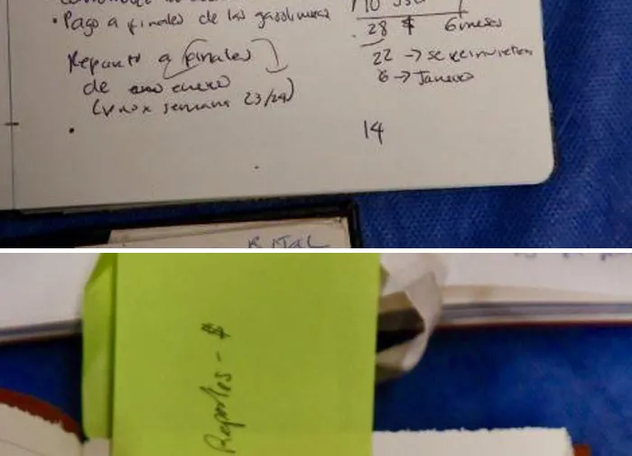Imagen del artículo